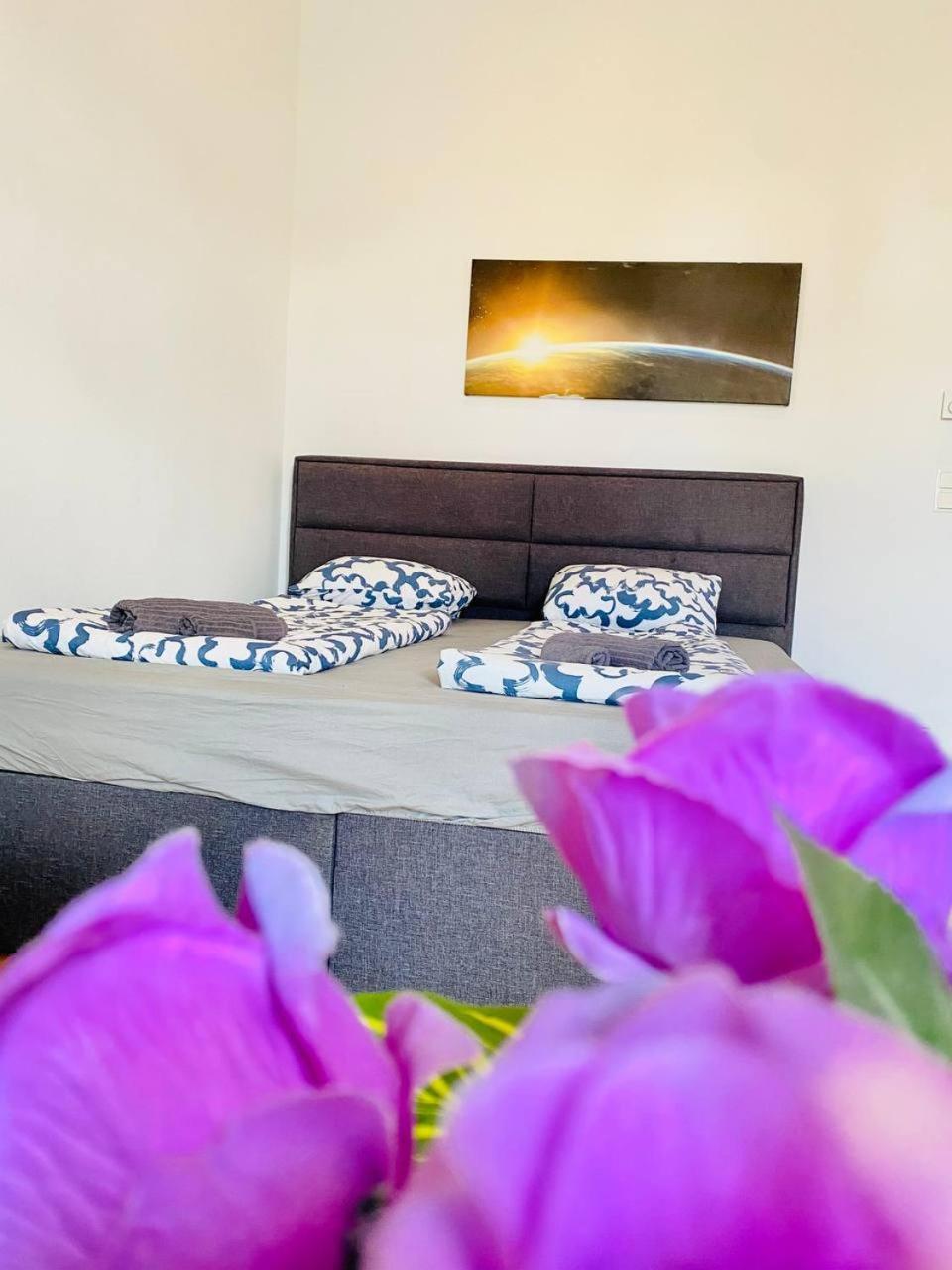 Cozy Rooms In Brigittenau Area Mm23 Вена Экстерьер фото