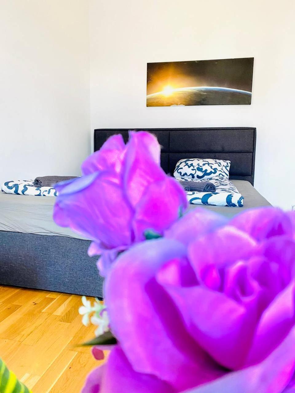 Cozy Rooms In Brigittenau Area Mm23 Вена Экстерьер фото